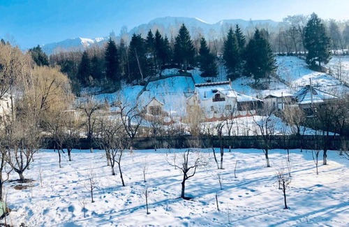 Borsa Villa | Frenchie’s House