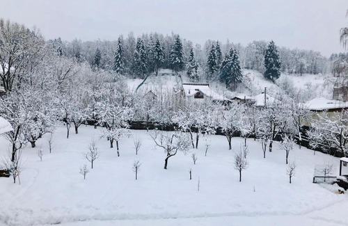 Borsa Villa | Frenchie’s House