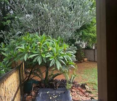 Greater Johannesburg Metropolitan Area Apartment | FRIDAS Haven