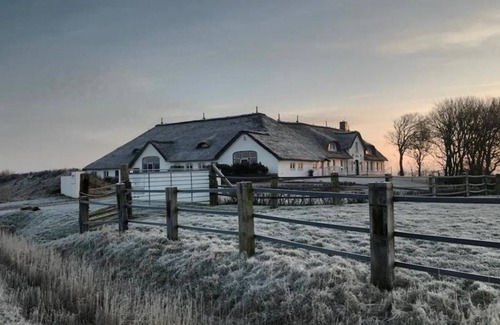 St. Peter-Ording Cottage | Friesenhof Appartement 7