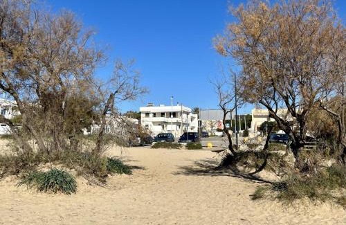 Posto Vecchio Apartment | Front Beach Apartments Rose Superiore