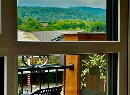 Vrdnik Apartment | Fruške 202 studio apartman