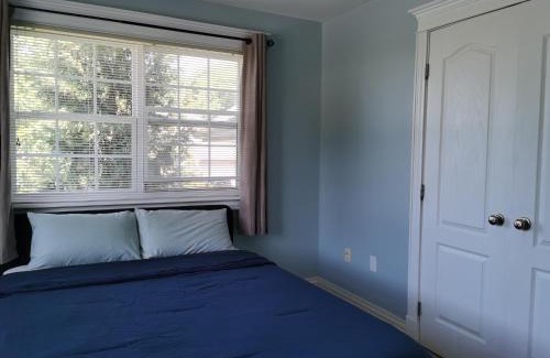 Halifax House | Full Kitchen AC Share Bathroom #2