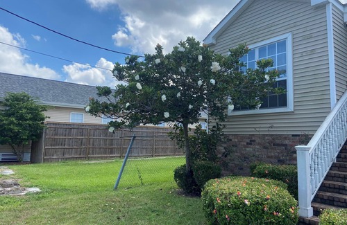 Broadmoor House | Furnished 2bedroom 1BA house with WiFi and central AC in wonderful New Orleans!