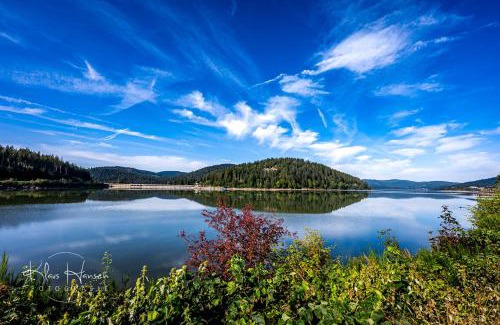 Blasiwald Apartment | Gästehaus Seewald- Ferienwohnung 4 "Lärche", Schluchsee, Blasiwald