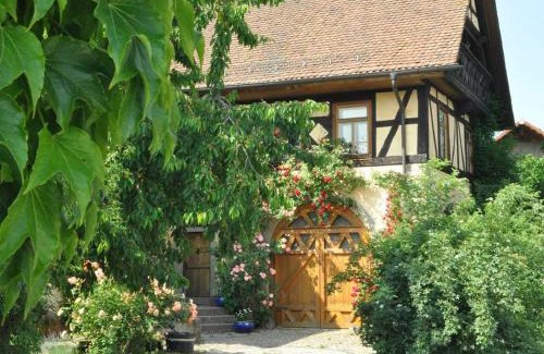 Breuberg Apartment | Gästezimmer - Fuhrhalterei Maul