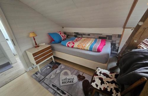 Unterallgau Apartment | GästeZimmer im Altbau Dachgeschoss mit kleinem Bad WLAN, TV und Parkplatz