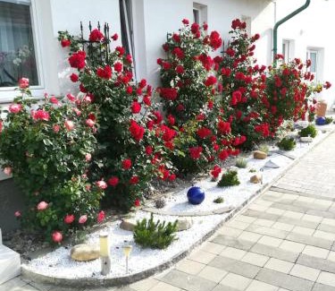 Illmitz House | Gästezimmer Resi