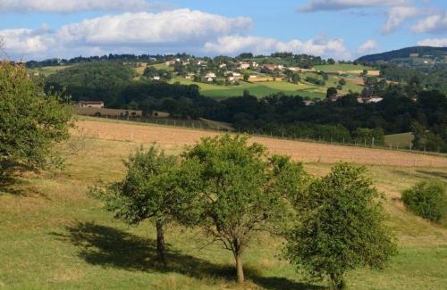 Chamboeuf House | Gîte authentique avec cheminée, animaux admis, près de St-Galmier - FR-1-496-175