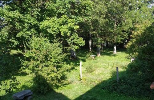 Marlhes House | Gîte authentique du XIIIe siècle avec cheminée et jardin, proche randonnées - FR-1-496-55