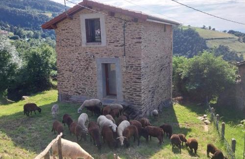 Saint-Chamond House | Gîte avec Terrasse et Animaux Admis près de Saint-Chamond - FR-1-496-324