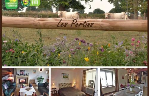 Le Bouchaud House | Gîte champêtre indépendant avec jardin, idéal pour réunions familiales - FR-1-489-227
