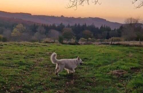 Saint-Nicolas-des-Biefs House | Gîte de charme avec animaux admis et Wi-Fi à Saint-Nicolas-des-Biefs - FR-1-489-553
