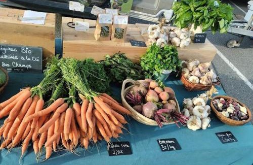 Sevelinges House | Gîte de charme 6 pers, jardin clos, animaux bienvenus - FR-1-496-250