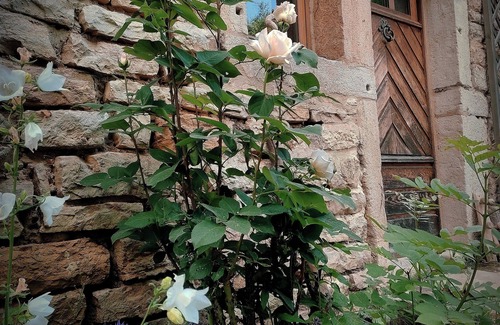 Rosay House | Gîte de l'Arbre-Lune, Jura craftsmanship