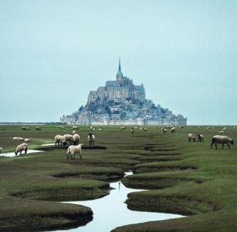 Saint-Aubin-de-Terregatte House | Gîte du Haut-Plantais