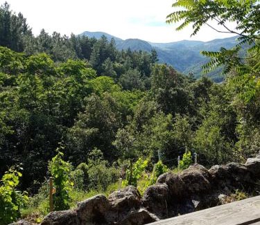 Saint-Fortunat-sur-Eyrieux House | Gîte du Puy