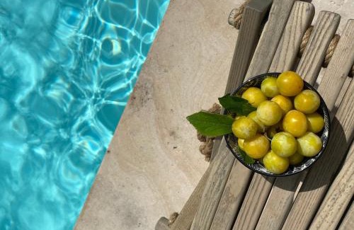 Ligre Bed & Breakfast | Gîte Eucalyptus L'Ecrin de Verdure piscine Chinon