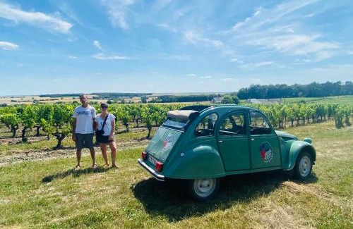 Ligre Bed & Breakfast | Gîte Eucalyptus L'Ecrin de Verdure piscine Chinon