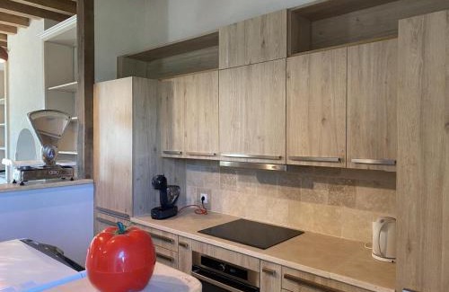 Meillard House | Gîte familial calme et lumineux avec jardin et piscine partagée - FR-1-489-557