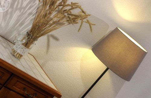 Apinac House | Gîte familial charmant avec Wi-Fi - Animaux admis - FR-1-496-122