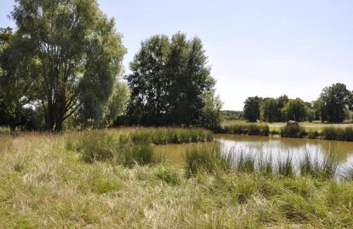 Chailly-en-Gatinais House | Gîte familial en ferme avec jardin, proche forêt et canal d'Orléans - Label Tourisme et Handicap - FR-1-590-7