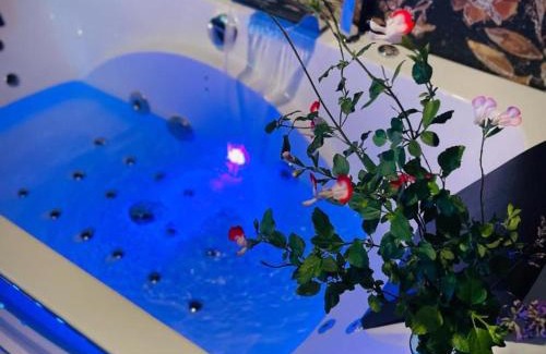 Montaigu-le-Blin Apartment | Gîte intimiste avec bain à remous et jardin près de Vichy - FR-1-489-520