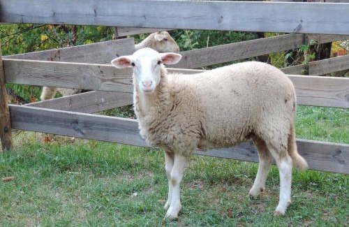 Chamborigaud House | Gîte Mas La Tabatière