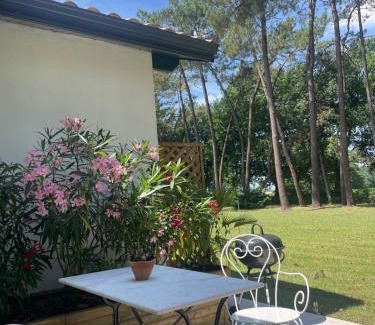 Came Apartment | Gîte Pays Basque Domaine de La Lande "Les pins"