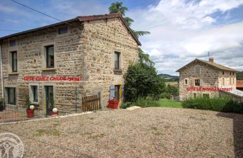 Belmont-de-la-Loire House | Gîtes de charme avec piscine et animaux acceptés pour 13 personnes - FR-1-496-140