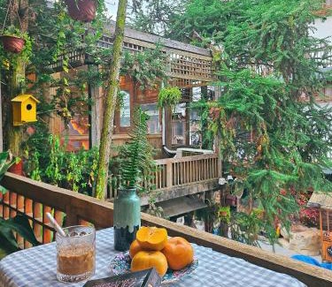 Moc Chau Hotel | Góc Homestay & Cocktail bar in Moc Chau Night Market