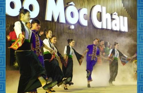 Moc Chau Hotel | Góc Homestay & Cocktail bar in Moc Chau Night Market