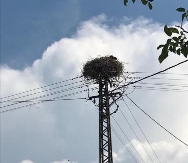 Kovagoors Apartment | Gólyásház apartman