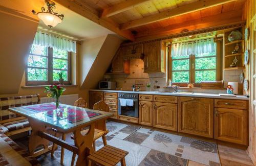 Bialy Dunajec Ski Chalet | Góralski Domek Polaniorka