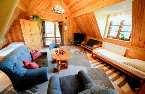 Bialy Dunajec Ski Chalet | Góralski Domek Polaniorka