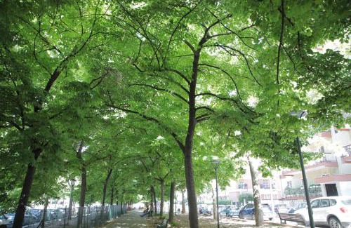 Municipio 2 Apartment | G & B House