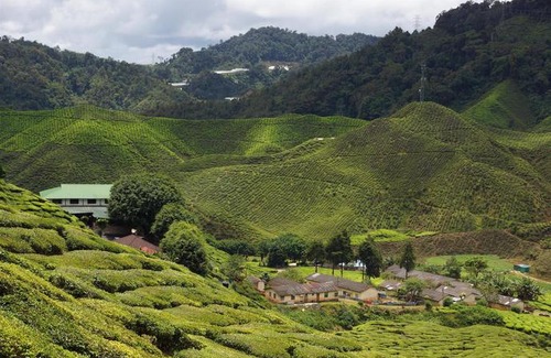 Tanah Rata Hotel | G Residence