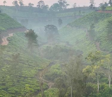 Cherambadi Resort | G0DS LAND Resort