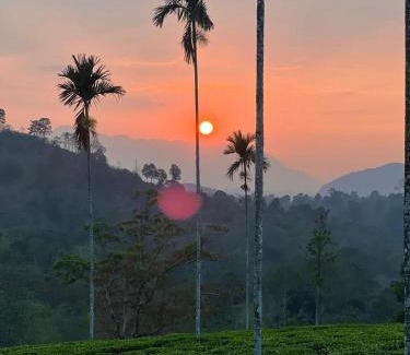 Cherambadi Resort | G0DS LAND Resort