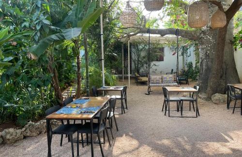 Nungwi Hotel | Gaia Villas