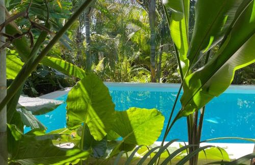 Nungwi Hotel | Gaia Villas