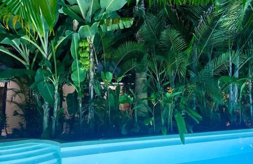 Nungwi Hotel | Gaia Villas