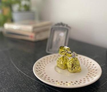 Oak Park Apartment | Gallery Loft of Oak Park #1 Top Host in IL