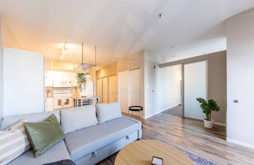 DeBaliviere Place Apartment | Garage Parking Relaxing condo near Forrest Park