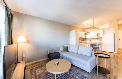 DeBaliviere Place Apartment | Garage Parking Relaxing condo near Forrest Park