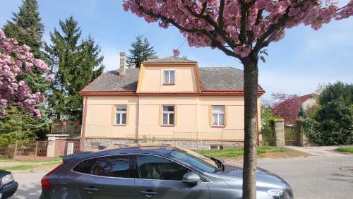 Znojmo Apartment | Garden Apartment