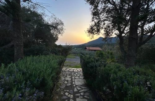 Fluminimaggiore House | GardenRocks