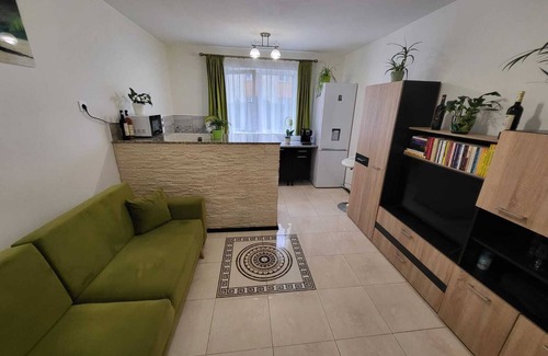 Sibiu Apartment | Garsoner Green Home
