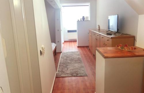 Tirgu Jiu Apartment | Garsonieră central Tg Jiu