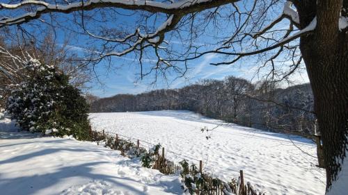 Witzhelden Apartment | Gartenblick